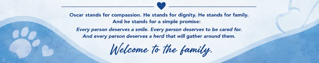 Special Smiles Foundation mission banner